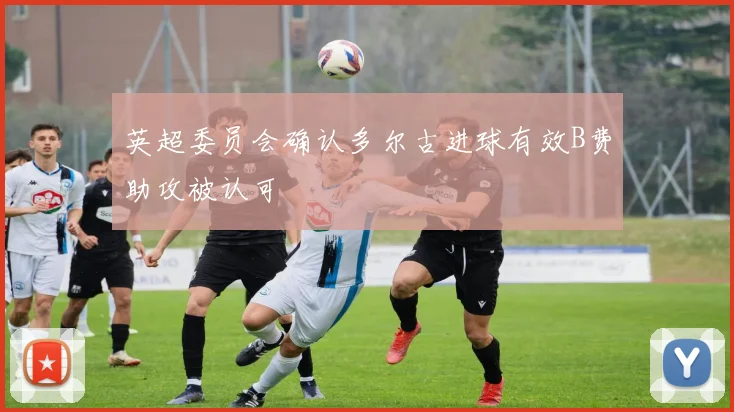 英超委员会确认多尔古进球有效B费助攻被认可