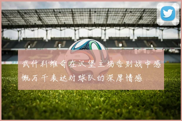 武什科维奇在汉堡主场告别战中感慨万千表达对球队的深厚情感